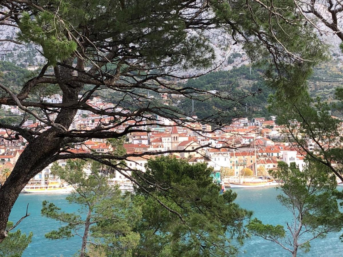 Apartments Drago Makarska Exterior photo